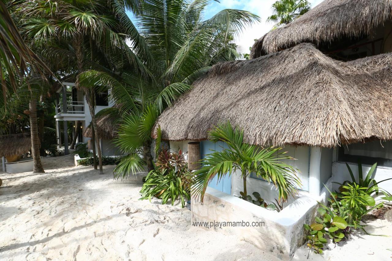 图卢姆 Playa Mambo Eco Cabanas酒店 外观 照片