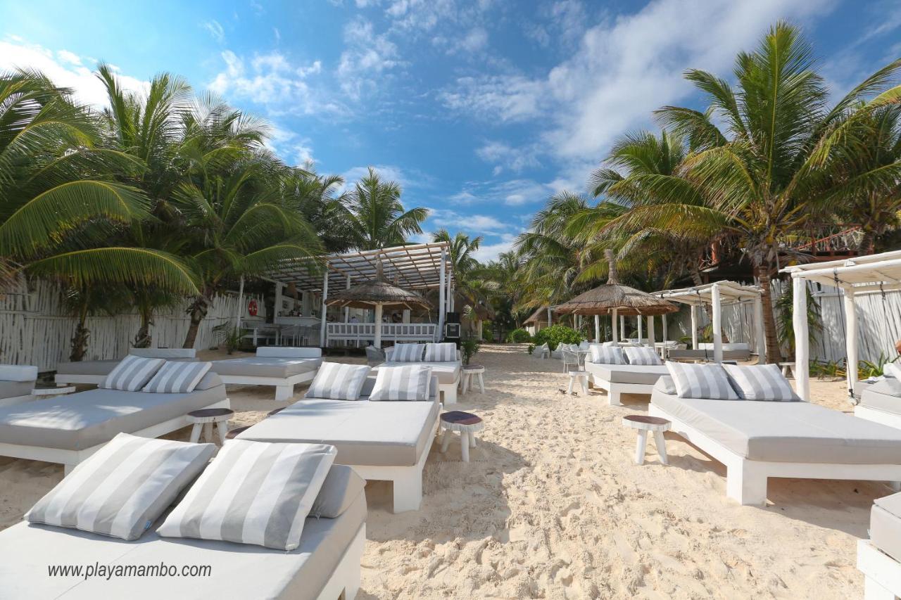 图卢姆 Playa Mambo Eco Cabanas酒店 外观 照片