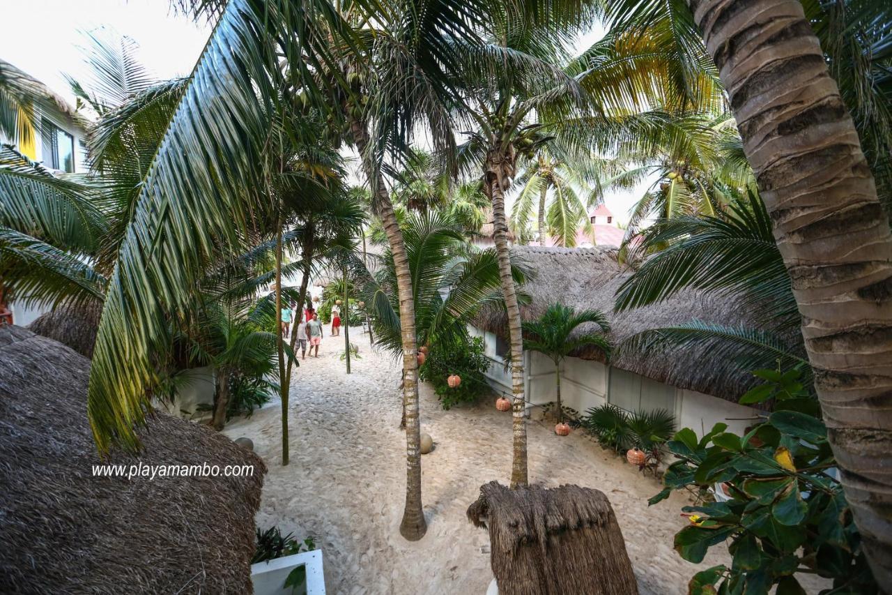 图卢姆 Playa Mambo Eco Cabanas酒店 外观 照片
